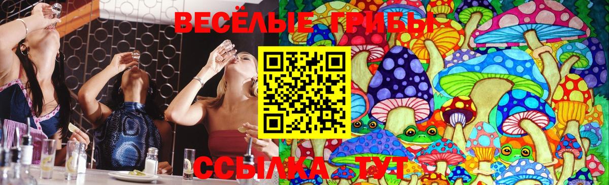 Псилоцибиновые грибы Psilocybine cubensis Сегежа