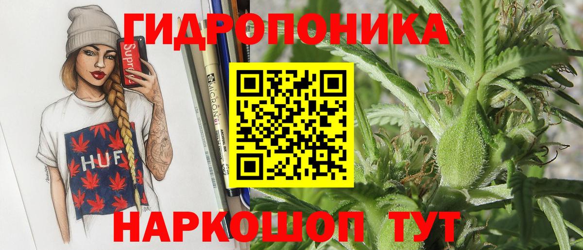 Марихуана гибрид Сегежа